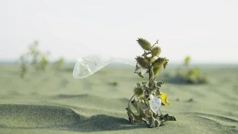 Close-up of garbage lying on the beach. Beach pollution. Ecological problem. 스톡 동영상 320716704