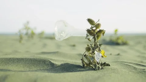 Close-up of garbage lying on the beach. Beach pollution. Ecological problem. Stock Footage 320716923