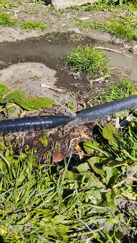 Close-up of garden hose burst Stock Footage 336805655