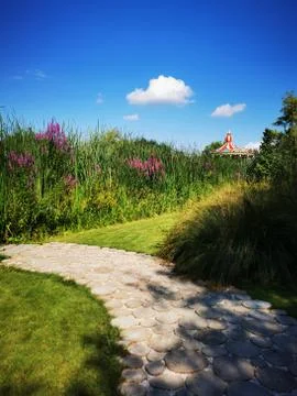 A close up of a garden Stock Photos