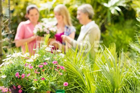 Close-up of garden plants at green house Stock-Fotos