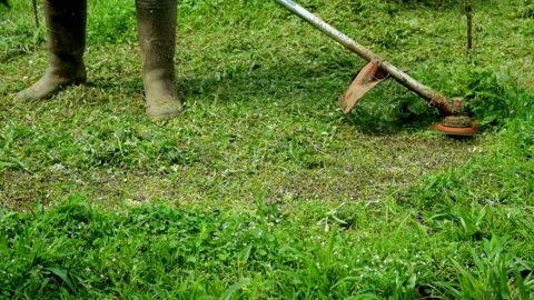 Close up of a garden worker cutting grass using a grass cutter Stock Footage 320953038