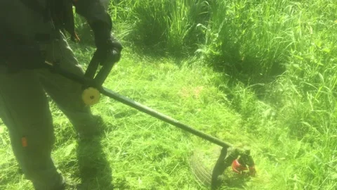 The close-up of the gardener with grass-cutter Stock Footage 299735151