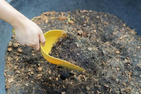 Close-up of a gardener's hand using a small trowel to cultivate rich, dark .. Stockfoto's
