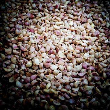 Close up of garlic, background Stock Photos