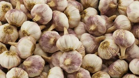 Close up of garlic background. Stock Photos