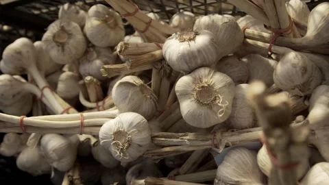 Close-up of garlic bouquets laying in boxes Stock Footage 146141280