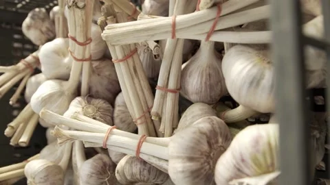 Close-up of garlic bouquets laying in boxes Stock-Footage 146141296
