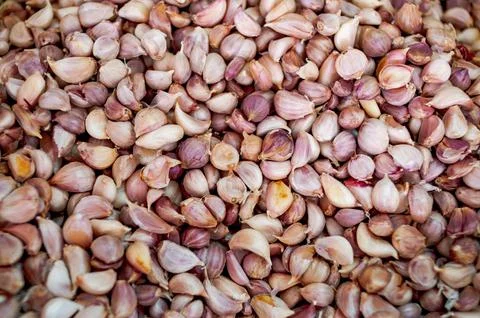 Close up Garlic cloves Stock Photos