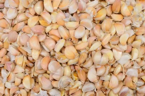 Close up garlic Stock Photos
