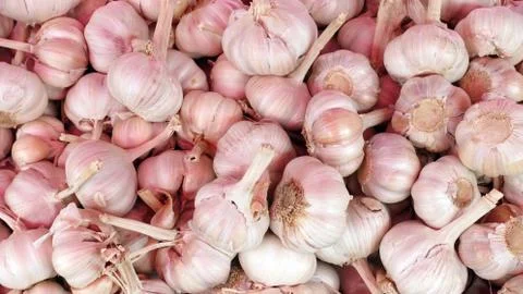 Close up of garlic Stock Photos