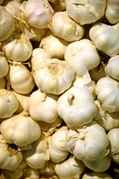 Close up garlic Stock Photos
