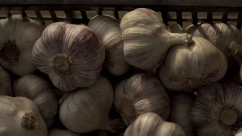 Close-up of garlics in a fruit box Stock Footage 146141277