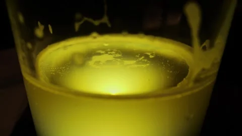 Close up. Gas bubbles rise in a backlit glass of beer. Stock Footage 280481852