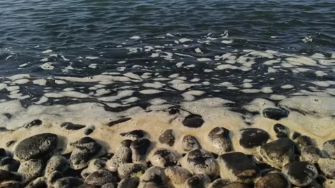 Close-up of gentle ocean waves washing white sea foam over pebbles and shore Vídeos de archivo 340966214