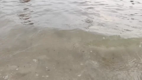 Close Up Gentle Ocean Waves Washing Over Wet Sandy Beach Shore Video stock 344583457