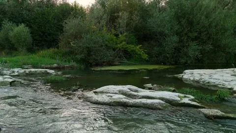 Close-up of Gentle River Current Flowing Past Mossy White Stones Stock Footage 328528662