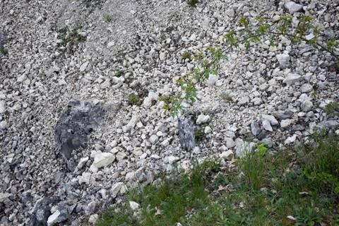 Close-up of the gentle slope. Stock Photos