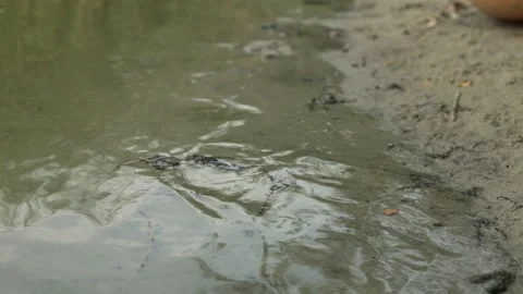 Close-up of gentle water ripples on a sandy shore with subtle reflections Vidéo 340844579