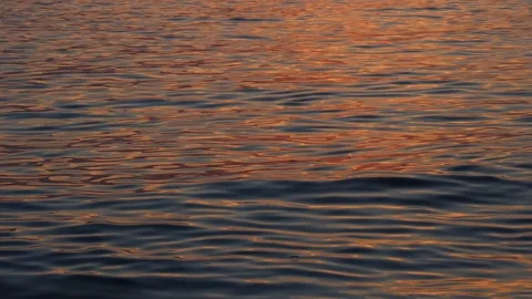 Close-up of gentle waves reflecting the soft pink and golden hues of sunset. Stock Footage 299894711