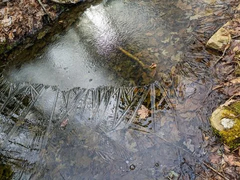 Close Up of Geometric Ice Patterns on Frozen Forest Puddle Fotos Stock