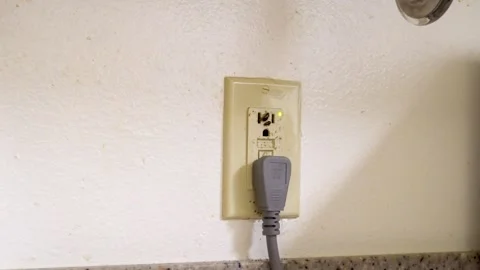 Close-Up of German Cockroach in Florida Kitchen Outlet for Pest Control concept Stock Footage 318157007