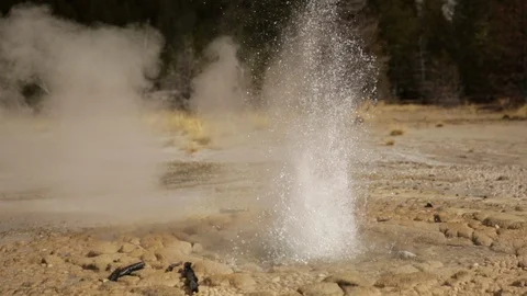 Close Up Geyser Spraying Exploding Water in Yellowstone National Park. Stock Footage 86033905