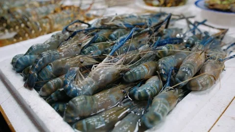 Close up of giant river prawns with blue claws at a at a traditional vietna.. Video stock 336981596