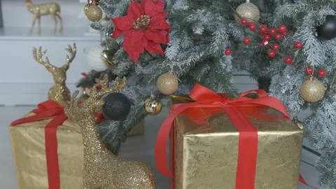 Close up of a gift boxes under the Christmas tree. Stock Footage 142806124