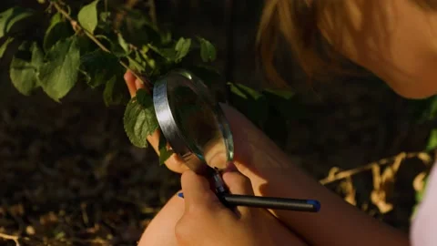 Close up girl kid looking at leaf in forest through magnifying glass. Stock-Footage 204779620