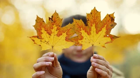 Close-up of a girl's smiling face, which she covers with autumn leaves. Stock Footage 231069644