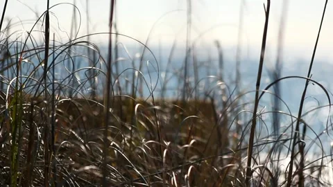 A close up of a glass 動画素材 156014761