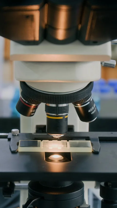 Close-up of Glass Slide with Test Sample under Microscope during Analysis Stock Footage 294899193