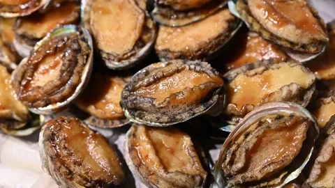 Close Up of Glazed Grilled Abalone Seafood Platter Stock Footage 341155666