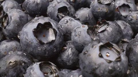 Close-up glides over plump, dewy blueberries. 스톡 동영상 313802134