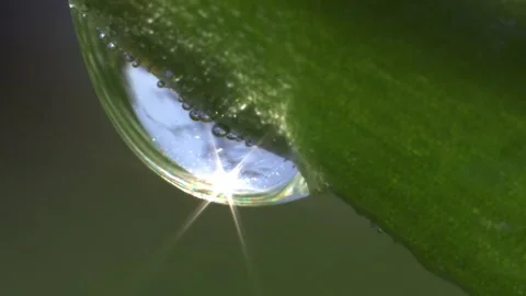 Close up of a glistening dewdrop on grass with delicate reflection Stock Footage 319988527