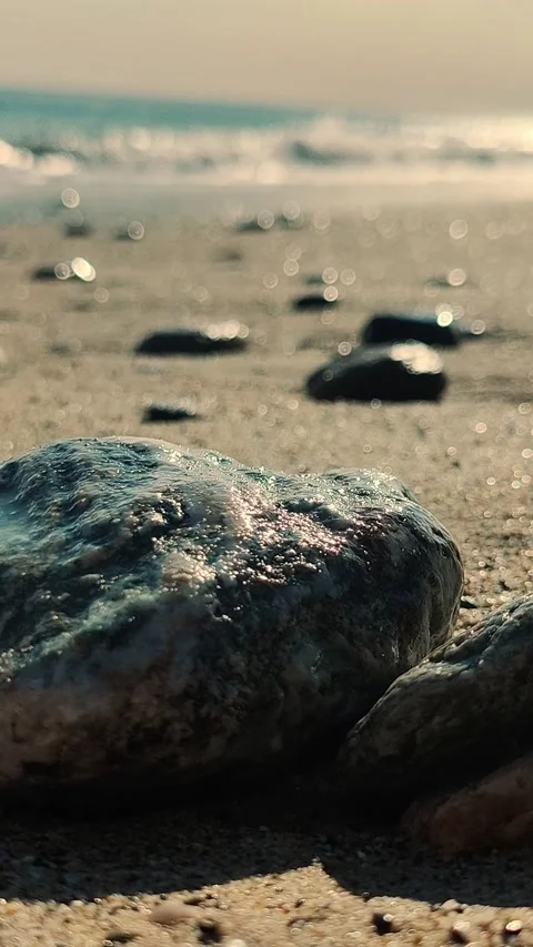 Close-up of glistening rocks on a sandy beach with the sun reflecting off the Stock Footage 313986641