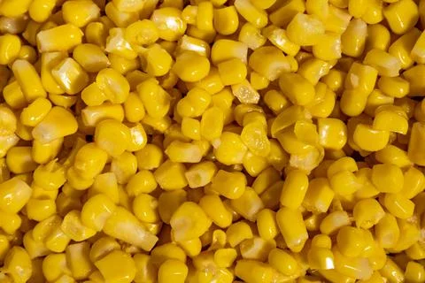 Close up glossy yellow corn kernels texture food background macro Stock Photos