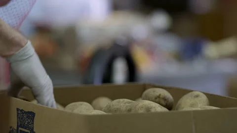 Close-up of gloved hands grabbing potatoes from a box at a food bank Stock-Footage 130992698