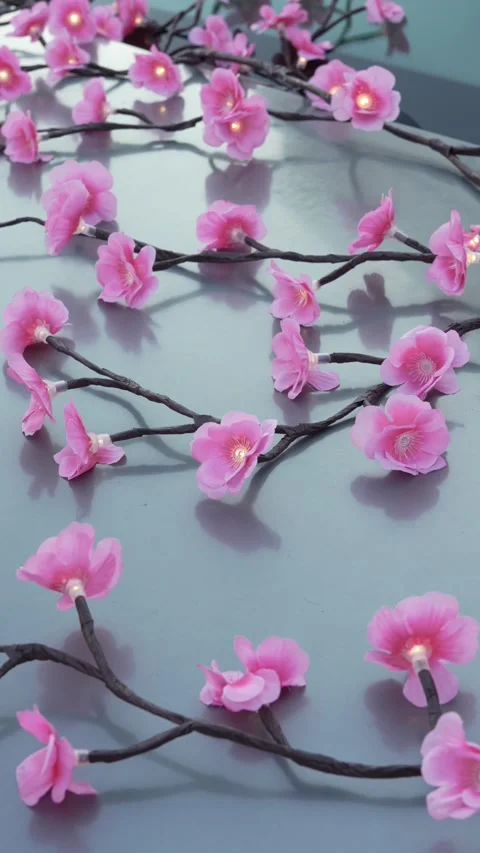 Close-up of glowing artificial pink cherry blossom garland on car. Stock Footage 341135273