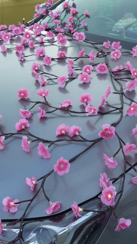 Close-up of glowing artificial pink cherry blossom garland on car. Stock Footage 341135332