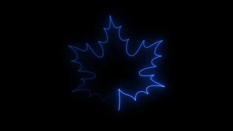 Close-up of glowing blue maple leaf outline in dark background Stock Footage 345834570