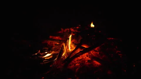 Close up of glowing campfire embers and burning firewood with small orange flame Stock Footage 341483968