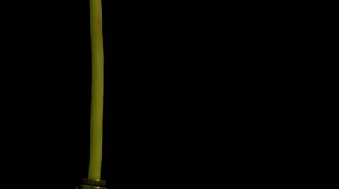 Close up of glowing element in the incandescent Stock Footage 58895351