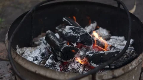 Close-up of glowing embers and burning logs in a rustic Dutch oven Stock Footage 337106039