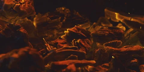 Close Up Of Glowing Fire 스톡 동영상 247384925