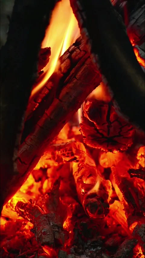 Close-up Glowing Firewood Burning Seamless Loop with Sound Vídeos de archivo 344951228
