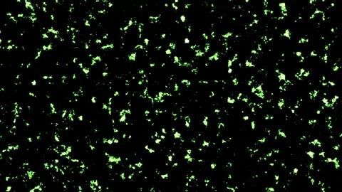 Close-up of glowing green particles floating in darkness Video stock 342087248