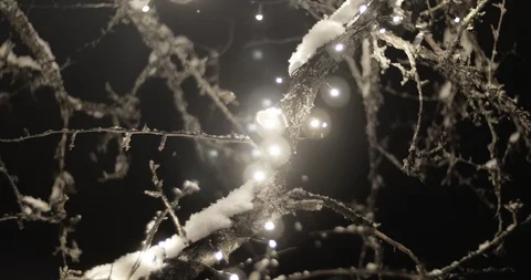 Close Up of Glowing LED Light Decorations Lighting Up a Snow Winter Night Stock Footage 86220992