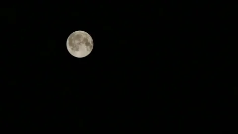 Close-up of a glowing moon in the night sky. full moon period. bright moonlight Stock Footage 80231562